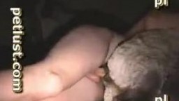 Завалил овцу на пол и трахает по свойски секс с геями онлайн видео