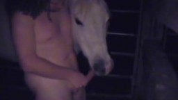 Чувак с длинным волосом полностью голый занимается мастурбацией возле лошади