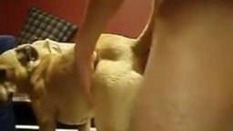 Sex zoo porn молодой зоофил ебет свою собаку порно с животными онлайн видео