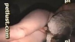 Голый зоофил парень изнасиловал овечку в стоге сена зоо порно видео онлайн