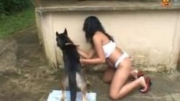 Красивая черноволосая деваха устролила секс с собакой зоо порно