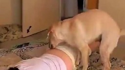 Белый пес пытается выебать молодую девку на полу зоо порно