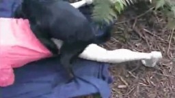 Семейное зоо порно с крепкой собакой на природе во время прогулки