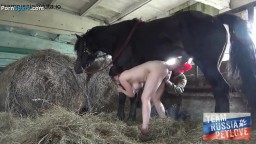 Большой конь ебет своим огромным хуем русскую зоофилку смотреть порно зоо онлайн