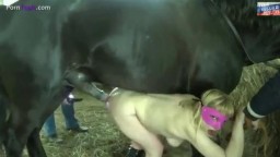 HD зоо порно видео русская баба трахается с конем в конюшне