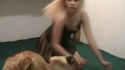 Шалопутная деваха подняла юбку и трахается с собакой порно с животными онлайн