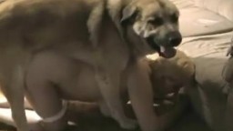 Любительница острых ощущений спаривается с большой собакой порно зоо смотреть онлайн