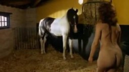 Симпатичная девушка раздевается и устраивает эротичный секс с конем на сене
