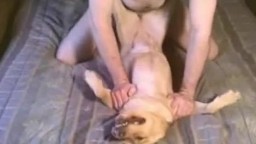 Голый гомосек положил собаку на пол и ебет в собачью письку порно секс с животным