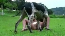 Черномазая скотоложница организовала отличный оральный секс с четвероногим другом на полянке