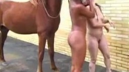 Zoo horse оголенные зоофилки пробуют заняться сексом с лошадью порнозоо втроем