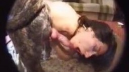 Чувственная беременная зоофилка стосковалась по ебле и трахается с собачкой зоопорно видео