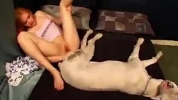 Настоящий зоо порно кастинг с собакой и тощей студенткой