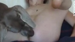 Озабоченная девушка без трусов дала собаке пользать клитор -ХХХ зоо порно видео