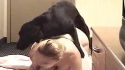 Качественная зоо порнушка с толстой дамочкой и ее собакой догом