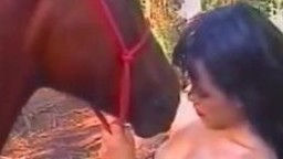 Соблазнительные девушки ласкают коня за ствол видео зоо на смартфон